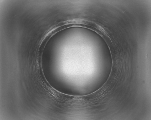 X0000052971312200507300127