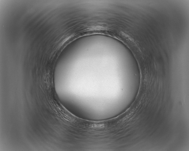 X0000052971313200507300127