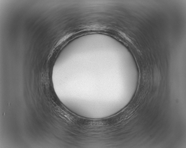X0000052971315200507300127