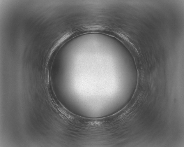 X0000052971317200507300127