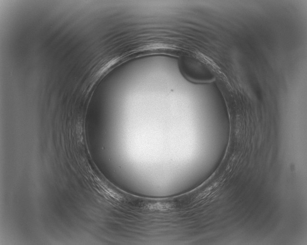 X0000052971321200507300127