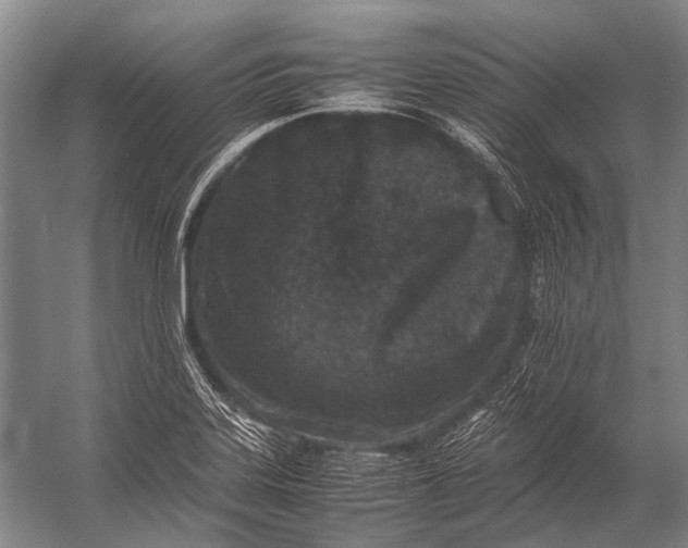 X0000052971323200507300127