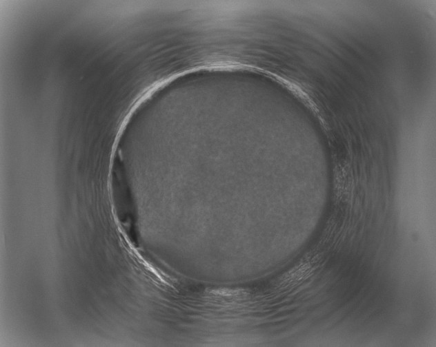 X0000052971327200507300127