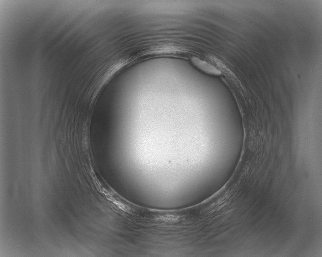 X0000052971329200507300127