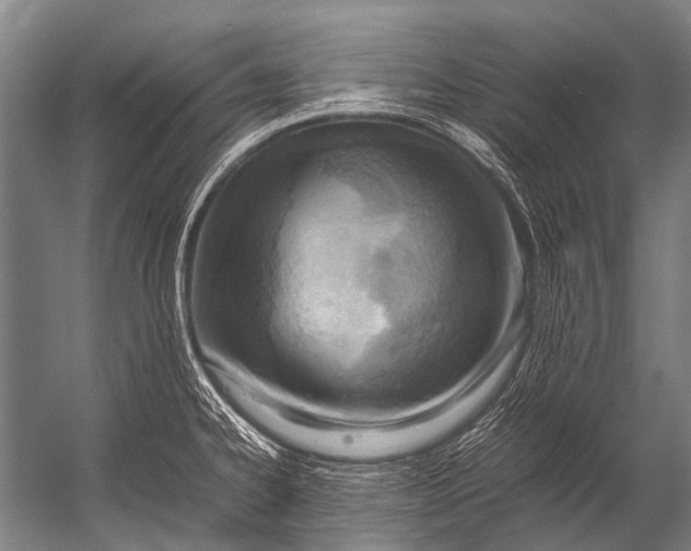 X0000052971334200507300127