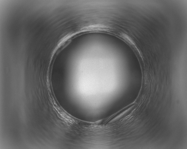 X0000052971336200507300127