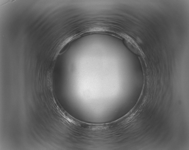X0000052971337200507300127