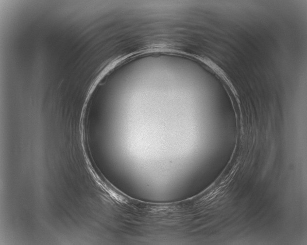 X0000052971341200507300127