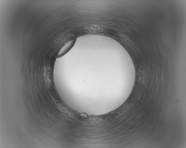X0000052971346200507300127