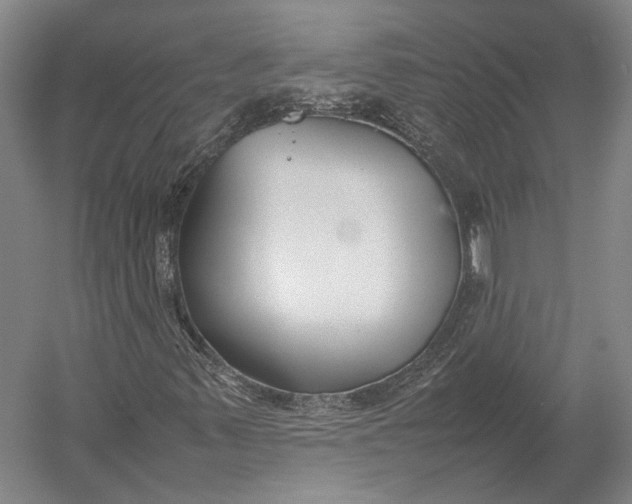 X0000052971347200507300127