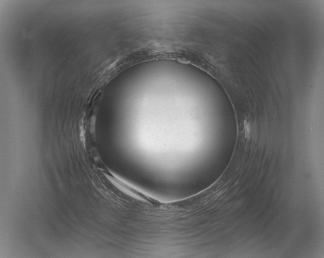 X0000052971348200507300127