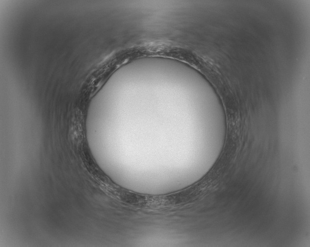 X0000052971349200507300127