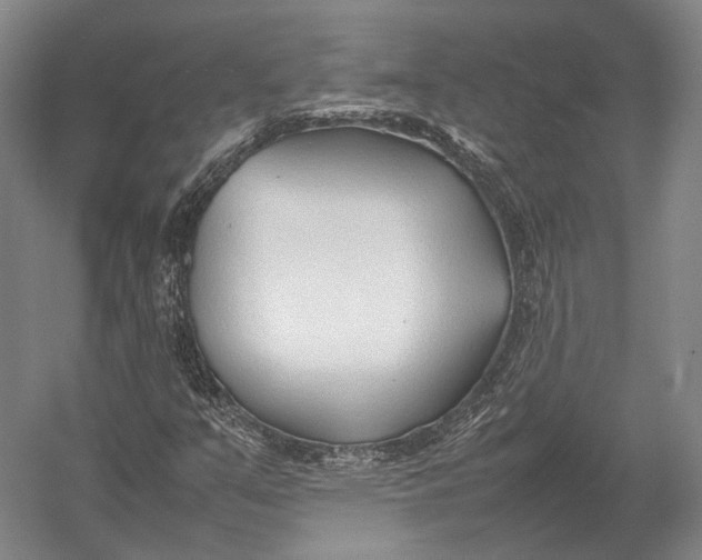 X0000052971351200507300127