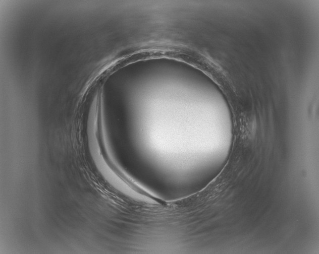 X0000052971352200507300126
