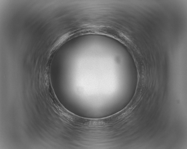 X0000052971354200507300126