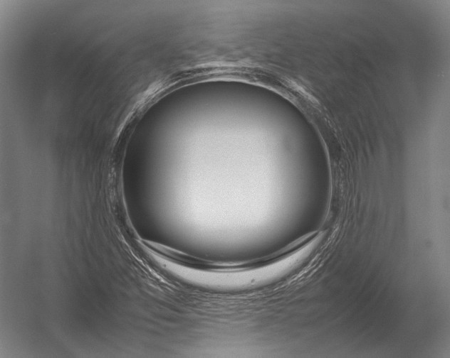 X0000052971357200507300126