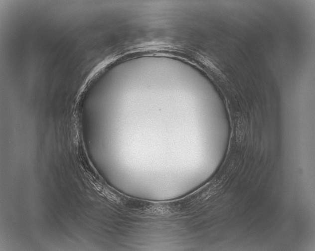 X0000052971358200507300126