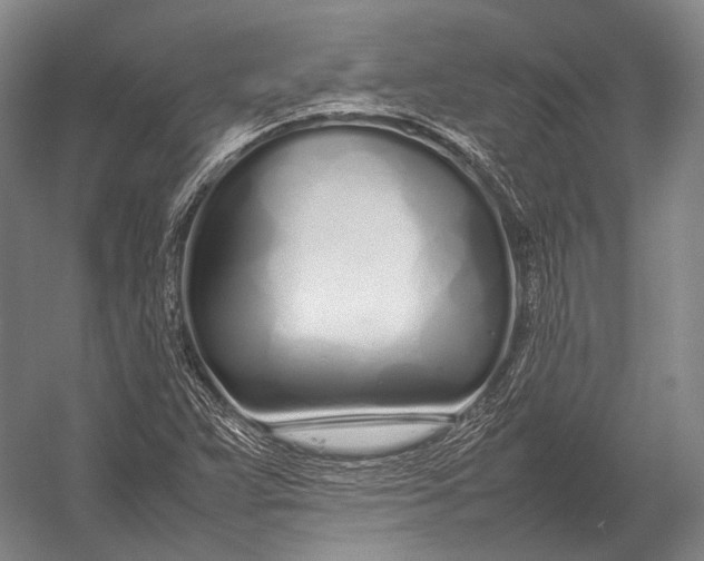 X0000052971359200507300126