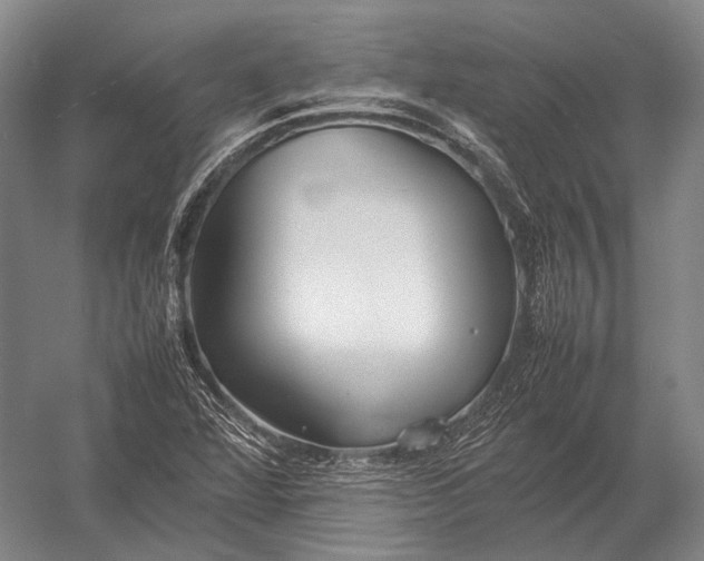 X0000052971360200507300126