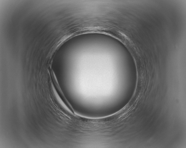 X0000052971361200507300126