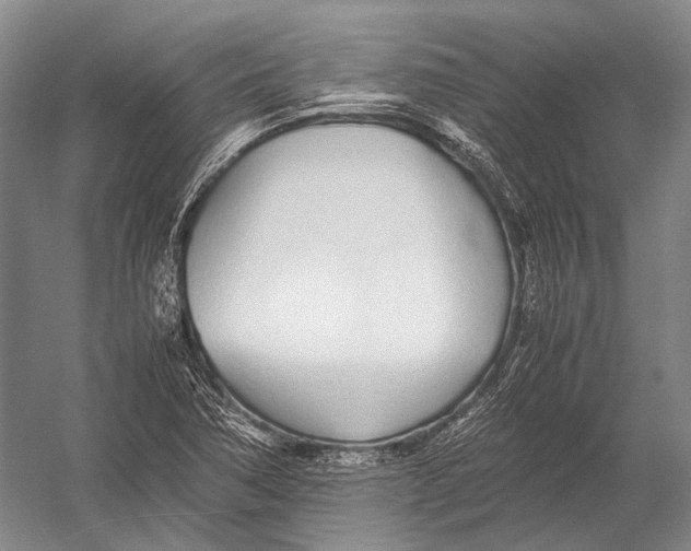 X0000052971362200507300126