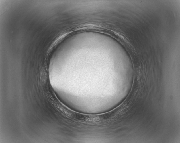 X0000052971363200507300126
