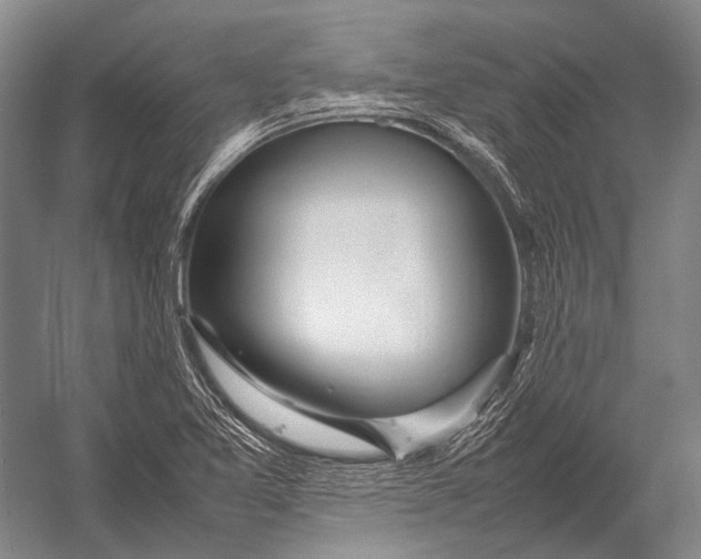 X0000052971365200507300126