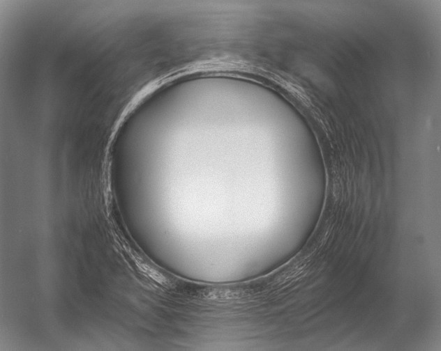 X0000052971366200507300126