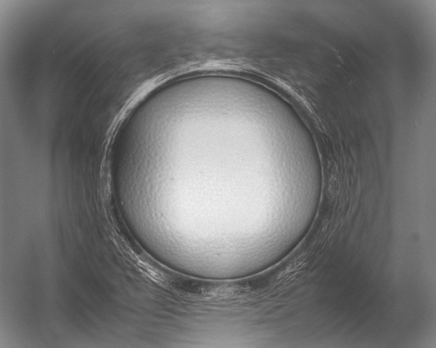 X0000052971367200507300126