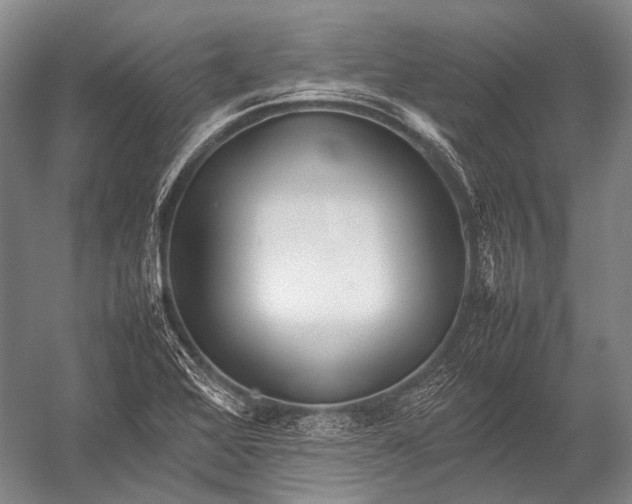 X0000052971368200507300126