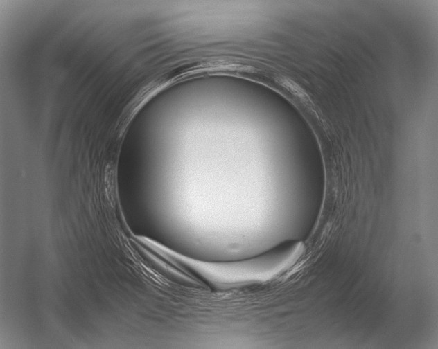X0000052971369200507300126