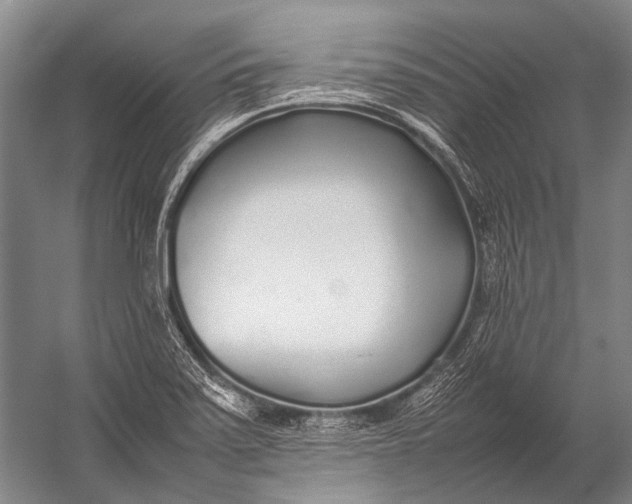 X0000052971371200507300126