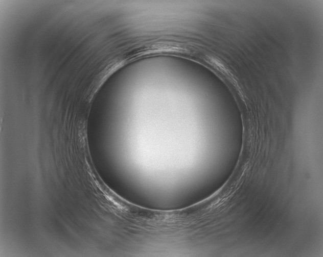 X0000052971377200507300126