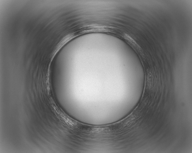 X0000052971378200507300126