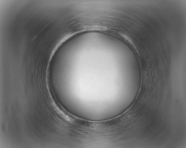 X0000052971379200507300126