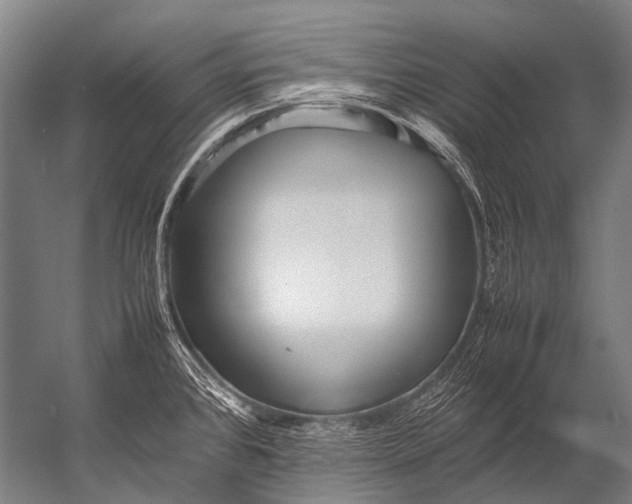 X0000052971384200507300126