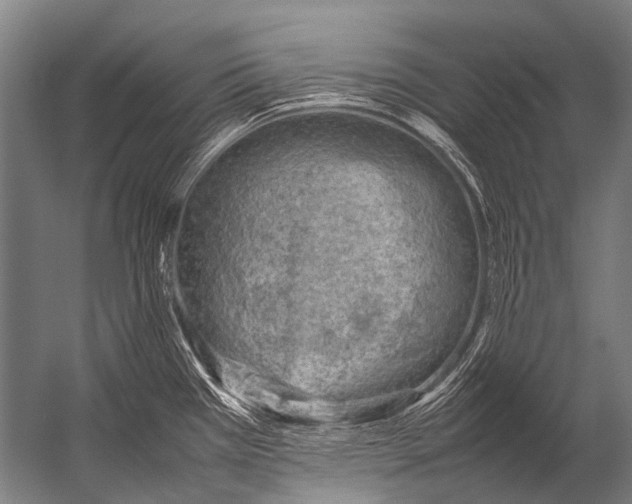 X0000052971385200507300126