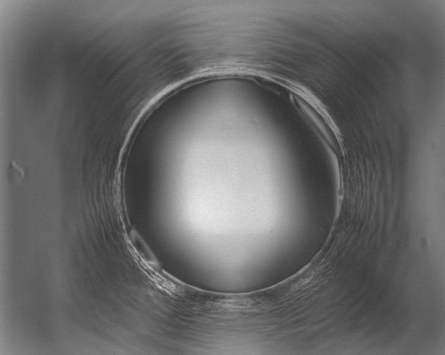X0000052971388200507300126