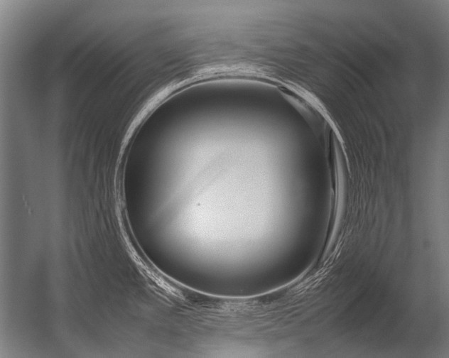 X0000052971389200507300126