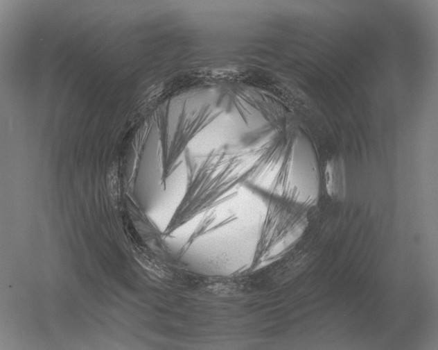 X0000052971395200507300125