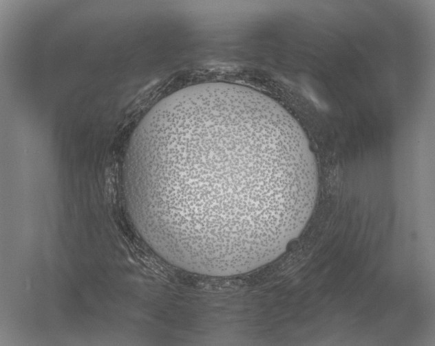 X0000052971397200507300125