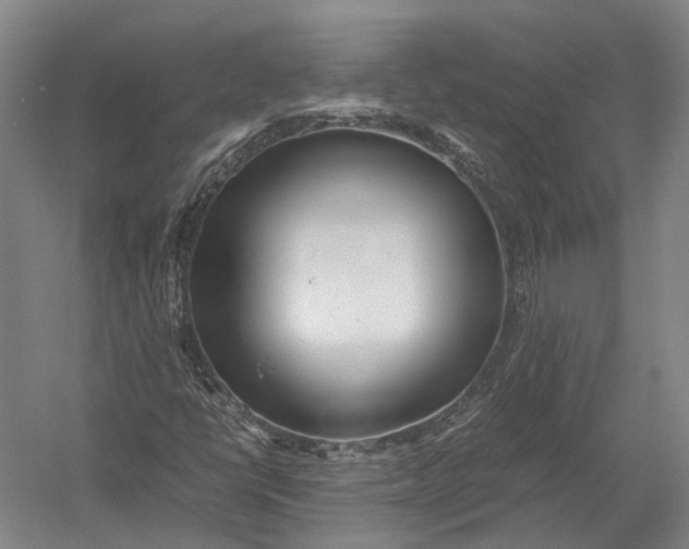 X0000052971398200507300125