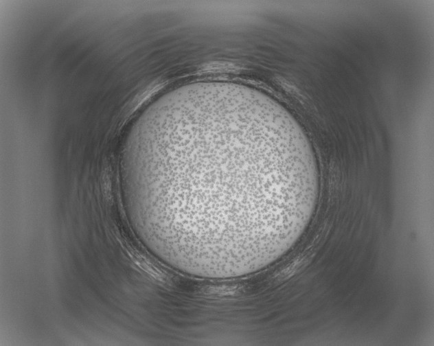 X0000052971401200507300125
