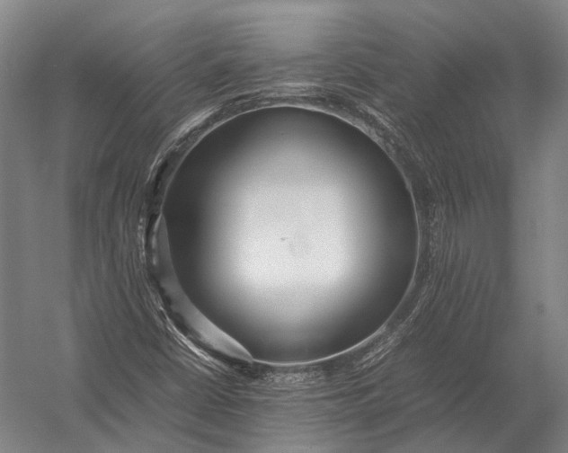 X0000052971402200507300125