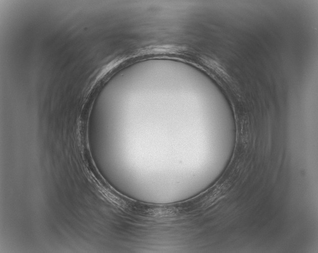 X0000052971404200507300125