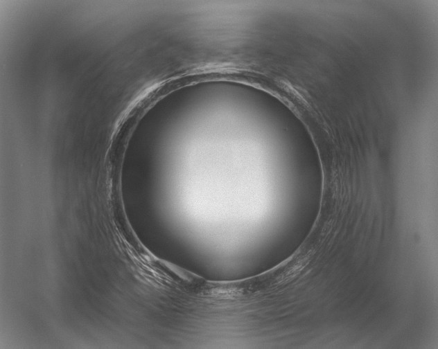 X0000052971406200507300125