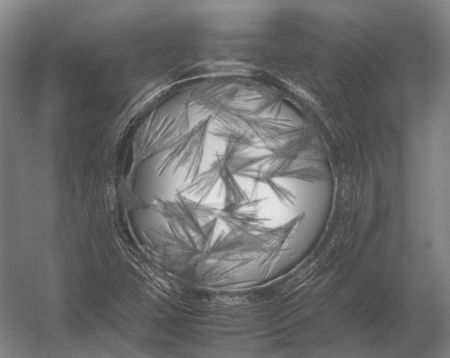 X0000052971407200507300125