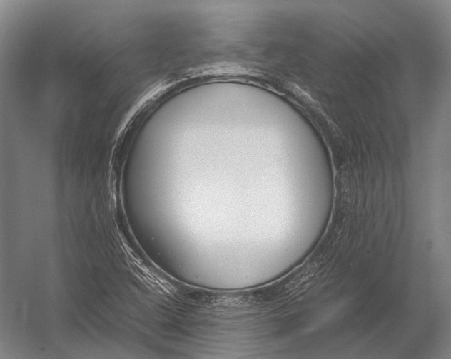 X0000052971408200507300125