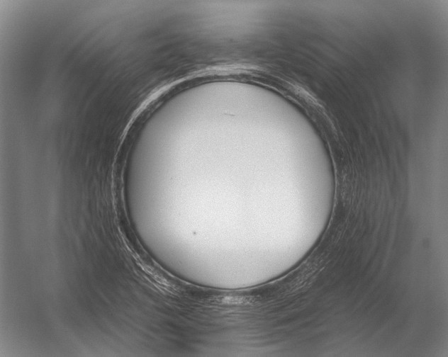 X0000052971412200507300125