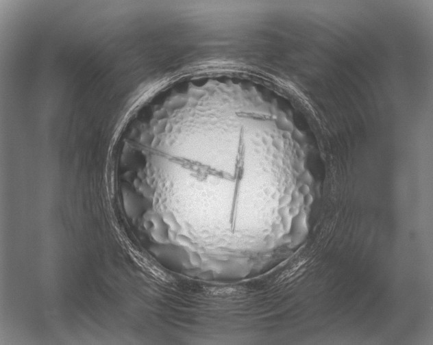 X0000052971413200507300125